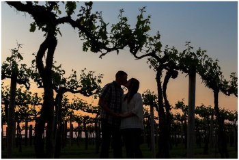 მშვიდი დუღილი (სრულად)