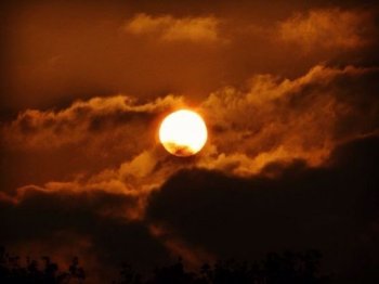 სატყუარა ქარიშხლისთვის ( თავი 4 )