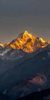 თეთნულდს გასძახე 5. სისხლიც დაიღვრება