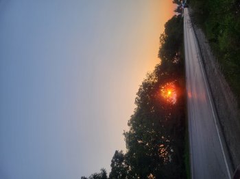 ცხოველების სასაფლაო