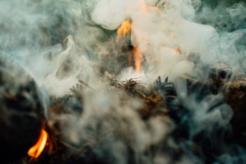 კვამლი ცეცხლამდე თავი 5