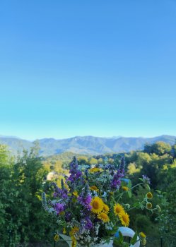 გაზაფხული