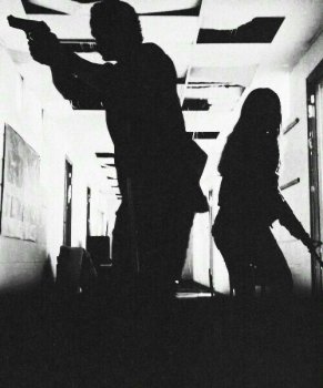 მოდული 7: ჩრდილოვანი სისტემა (თავი 9)