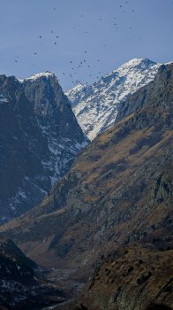 იასამნის ხესთან (ნაწილი 2)