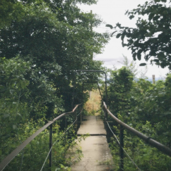 სევდანარევი