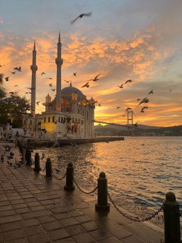 მებაღე - თავი 22