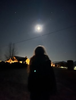 სოძულვილიდან სიყვარულამდე (თქვი 4)