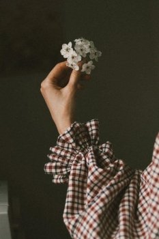 შვიდი ჭამი 1